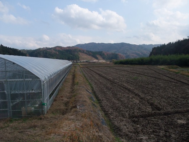 f0071456_2149385.jpg