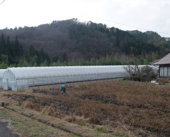 f0071456_2150212.jpg