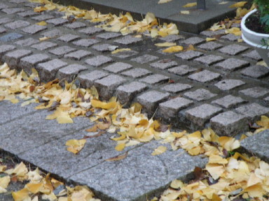 e0184558_8542852.jpg