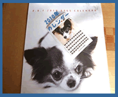 e0141159_21415051.gif