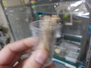f0196665_6552010.jpg