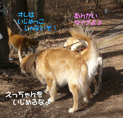 f0203369_20552933.jpg