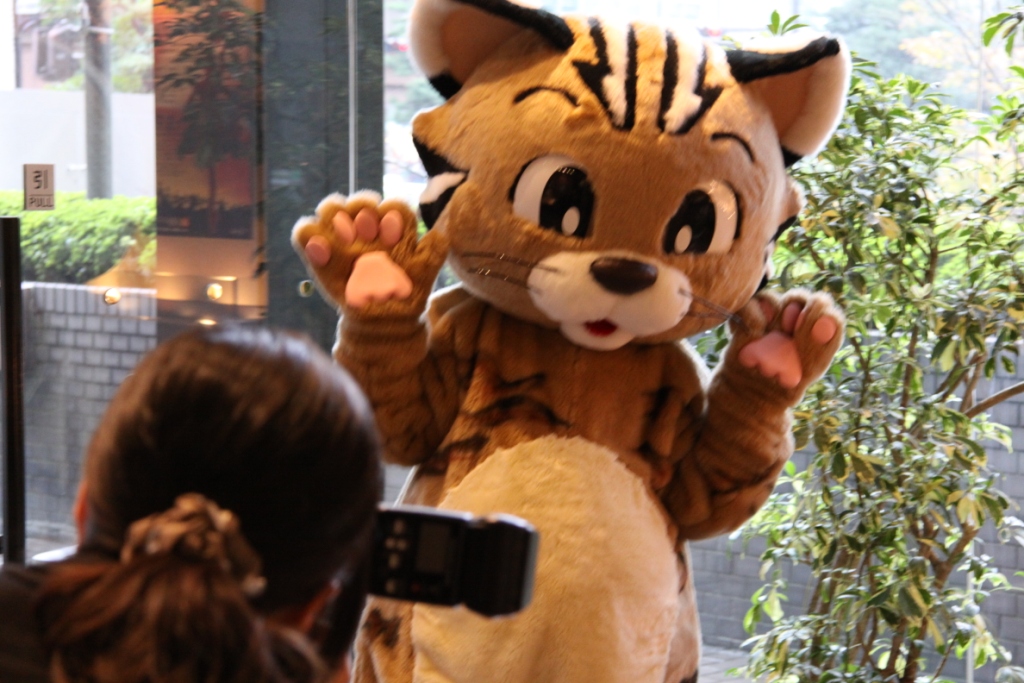 f0207669_9553331.jpg