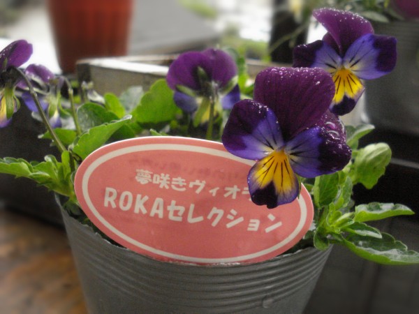 f0165677_22321913.jpg