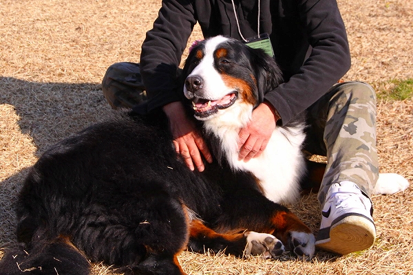 c0149178_1748086.jpg