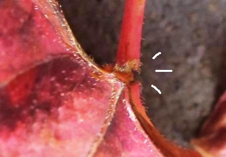 a0091680_10271067.jpg
