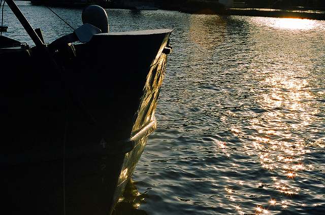 c0160387_854717.jpg