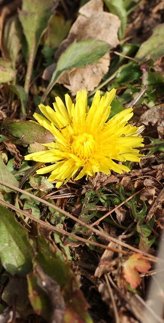 f0079289_23322075.jpg