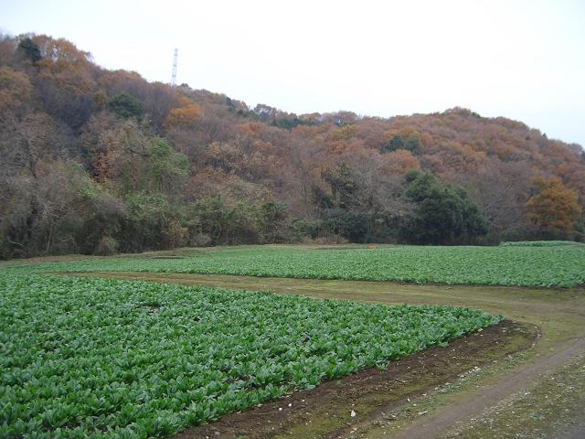 e0023790_11304969.jpg