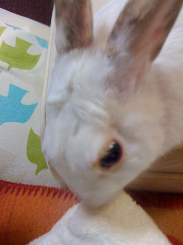 f0201191_23242750.jpg