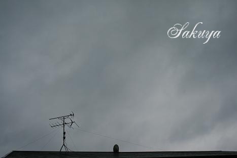 e0122194_1814621.jpg