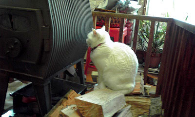 c0206596_23151150.jpg