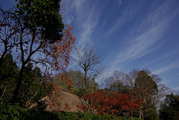 e0079696_9131243.jpg