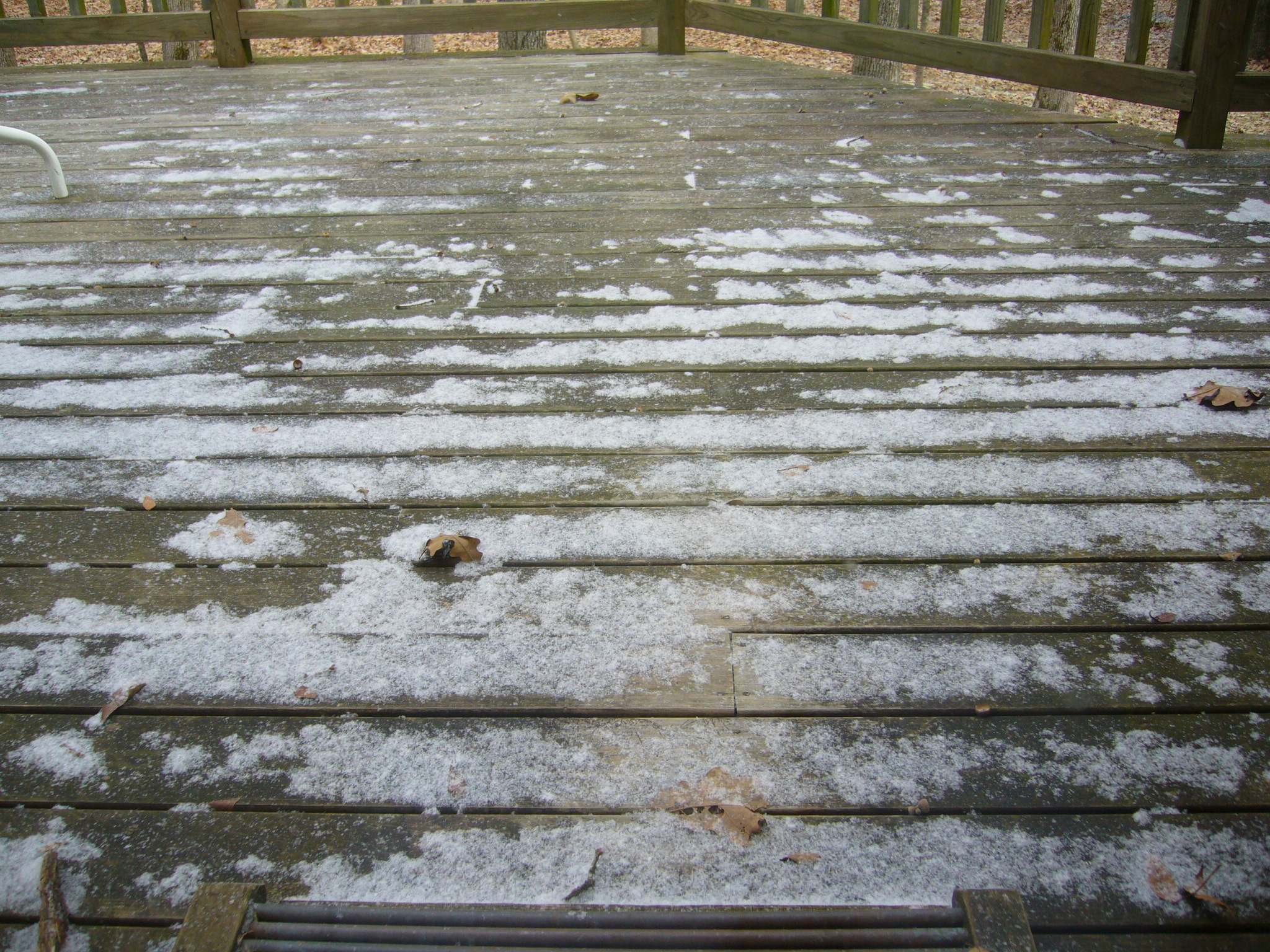 f0169397_45733.jpg