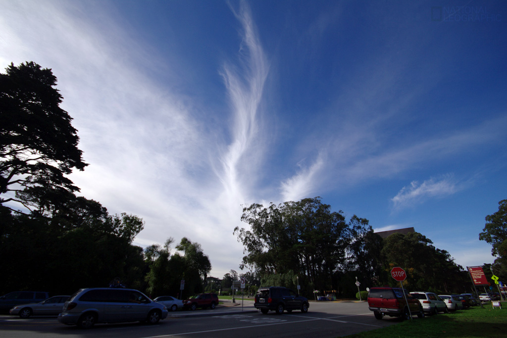 c0080101_711470.jpg