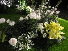 c0196701_934914.jpg