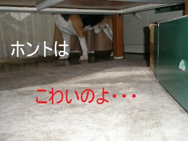 c0205806_1832027.jpg