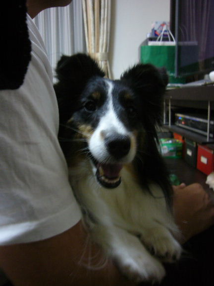 e0130008_18284445.jpg
