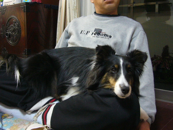 e0130008_18302528.jpg