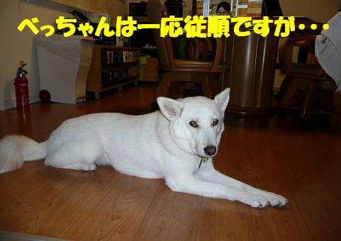f0121712_12493733.jpg