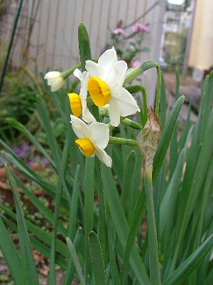 c0212214_144358.jpg