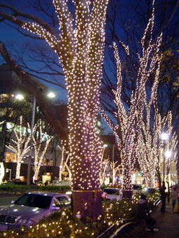 c0135618_1421100.jpg