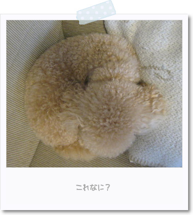 c0060920_2135976.jpg