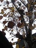 f0139520_2320534.jpg