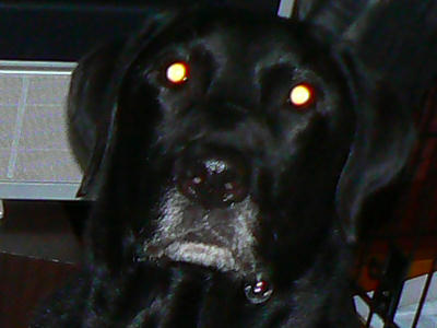 c0219523_22285510.jpg