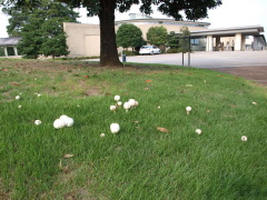 c0192025_21383311.jpg