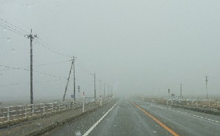 a0098027_1532832.jpg