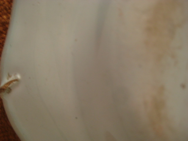 d0147727_16152697.jpg