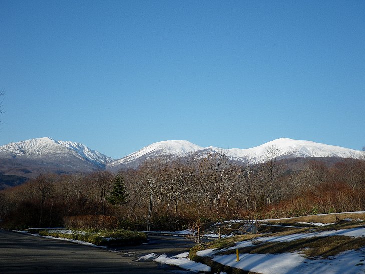 f0118332_116263.jpg