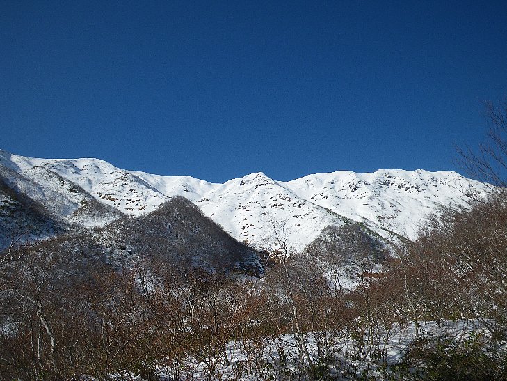 f0118332_1225653.jpg
