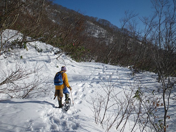 f0118332_124504.jpg