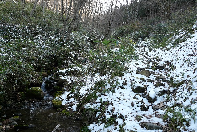 f0003138_16255727.jpg