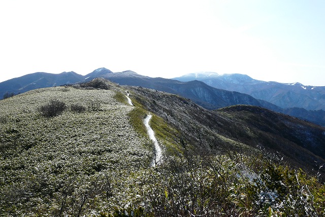 f0003138_16444620.jpg
