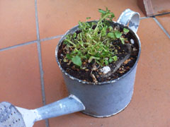 f0204440_22583777.jpg