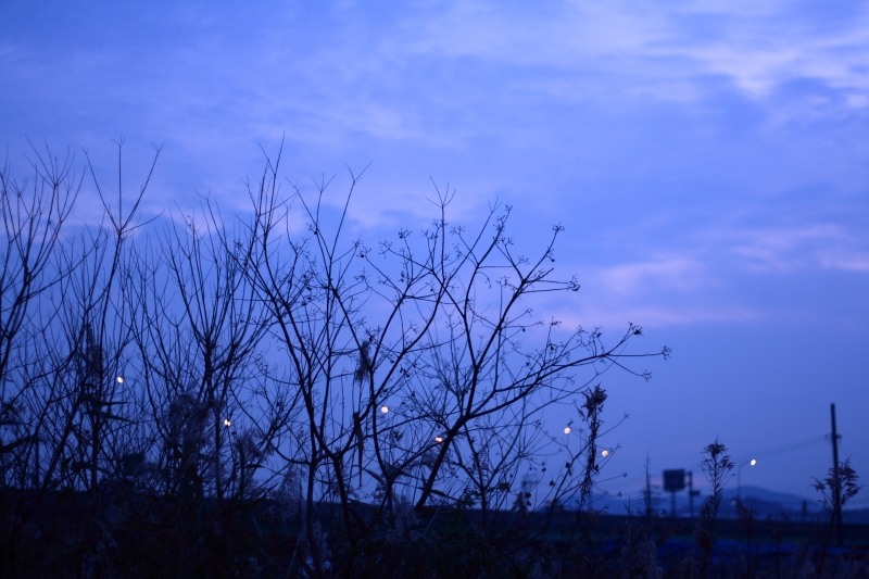 c0202541_0401395.jpg