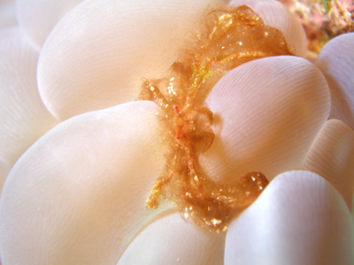 d0065247_16475417.jpg