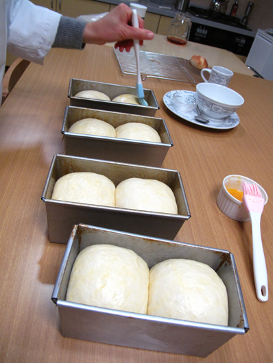e0190252_2383646.jpg