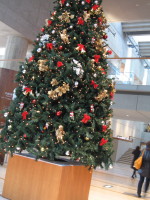 e0113254_9441445.jpg