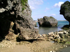 d0066255_16131199.jpg