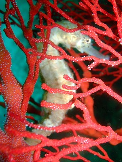 f0176156_14687.jpg