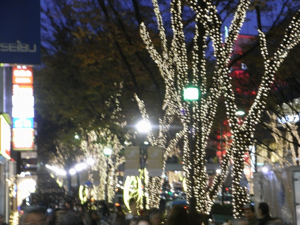 e0156058_12313888.jpg