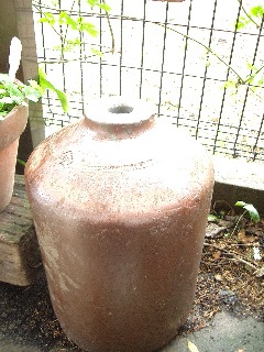 c0186463_17581267.jpg
