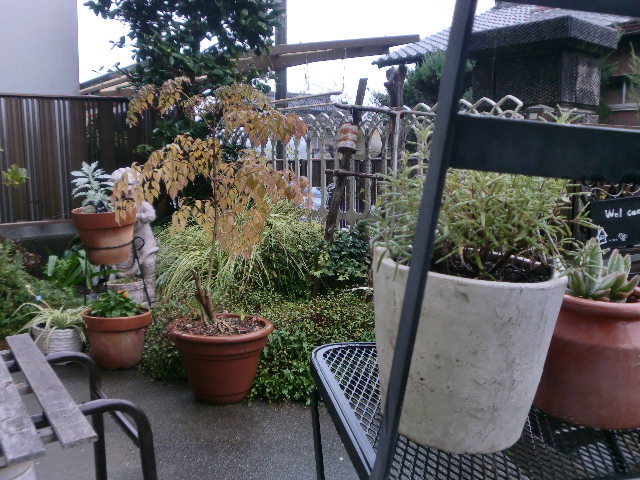 b0145865_1203842.jpg