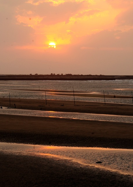 b0131167_13253879.jpg