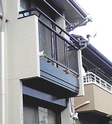 f0140271_1144466.jpg