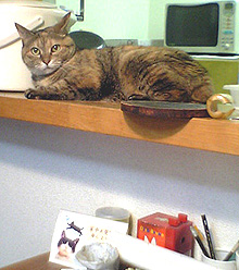 f0140271_118129.jpg